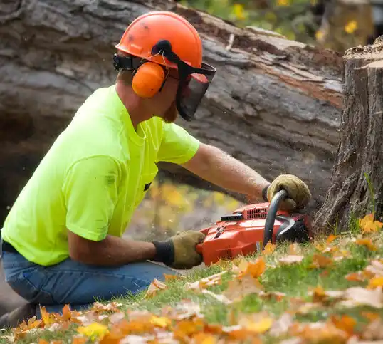 tree services Drum Point